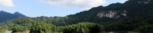 仙湖拍写真,仙湖美景映照下的写真瞬间