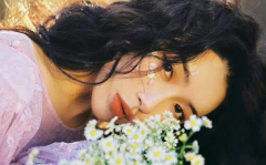 春日生日写真,记录美好时光