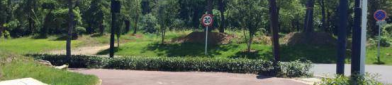 树林马术写真,树林马术写真集