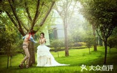 蝴蝶写真杭州,探寻西湖边的美丽蝴蝶写真